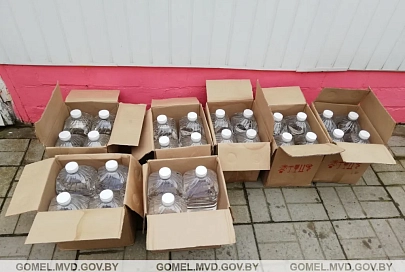 В Добруше у пенсионерки изъяли партию спирта